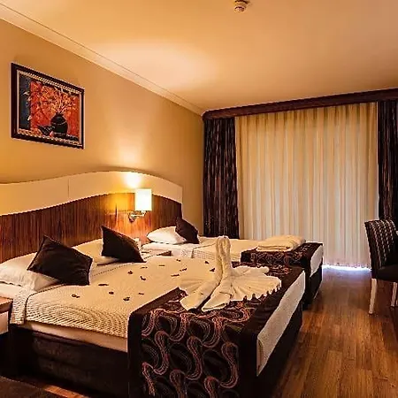 Hotel Throne &